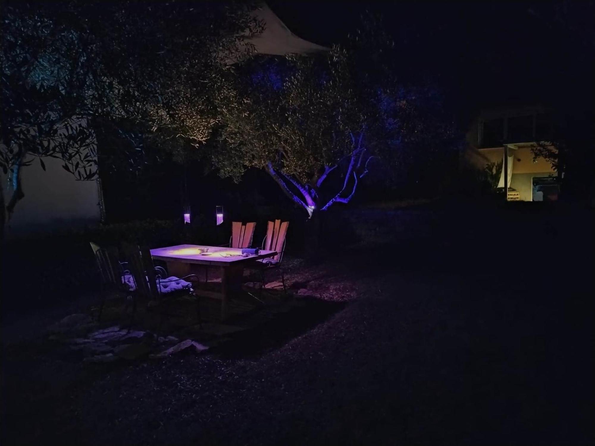 Oliver Art Apartment Poreč Dış mekan fotoğraf