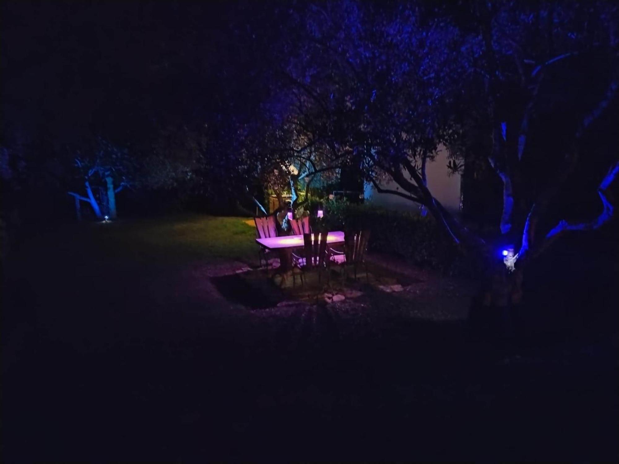 Oliver Art Apartment Poreč Dış mekan fotoğraf